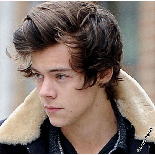 Se rumora que Harry Styles pasó la noche con una stripper