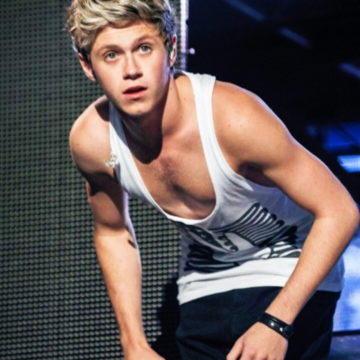 Niall Horan pone fin a su romance con Barbara Palvin
