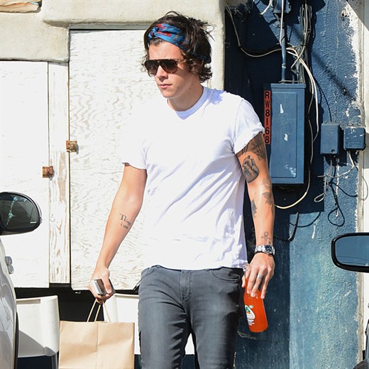 La familia de Harry Styles también se va de gira