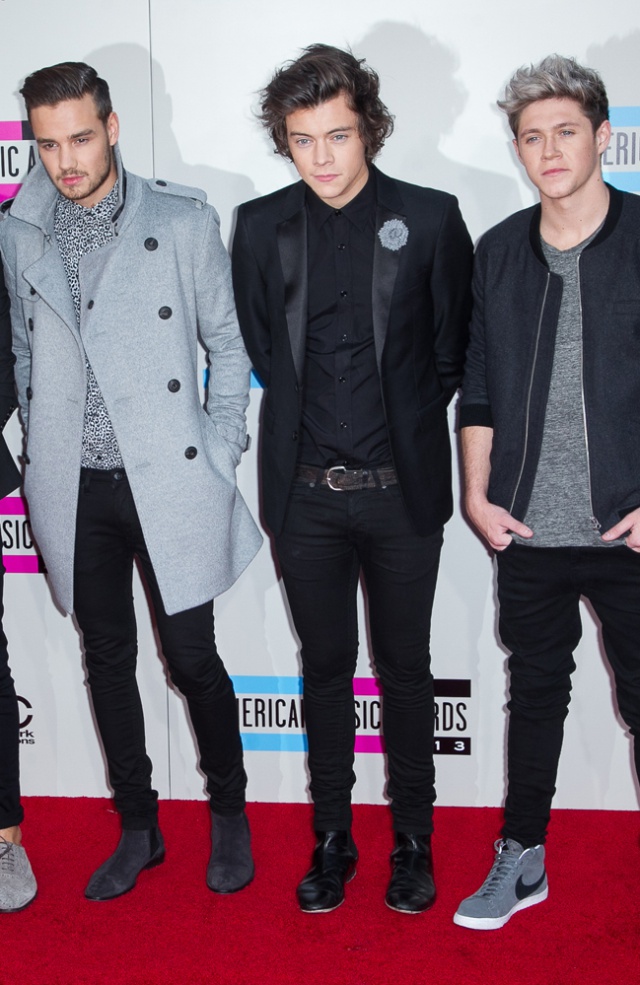 Los integrantes de One Direction comparten un vínculo fraternal