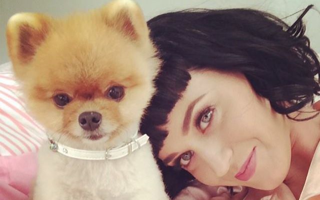 Katy Perry quiere estar con Pharrell en el Super Bowl 2015