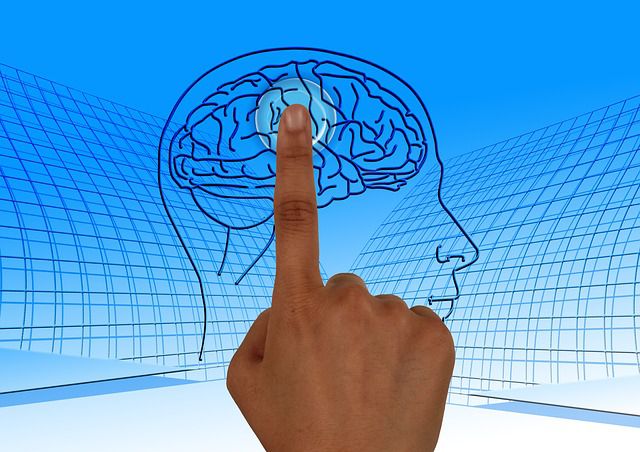 ¿El cerebro se puede quedar sin espacio?