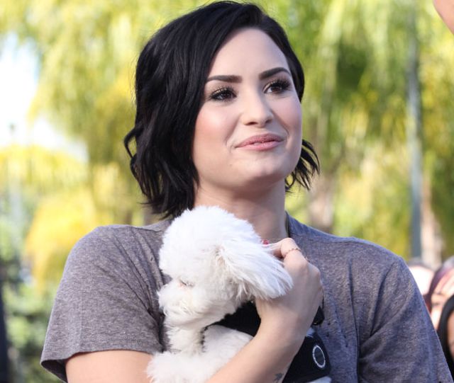 Demi Lovato está destrozada por la muerte de su perro Buddy