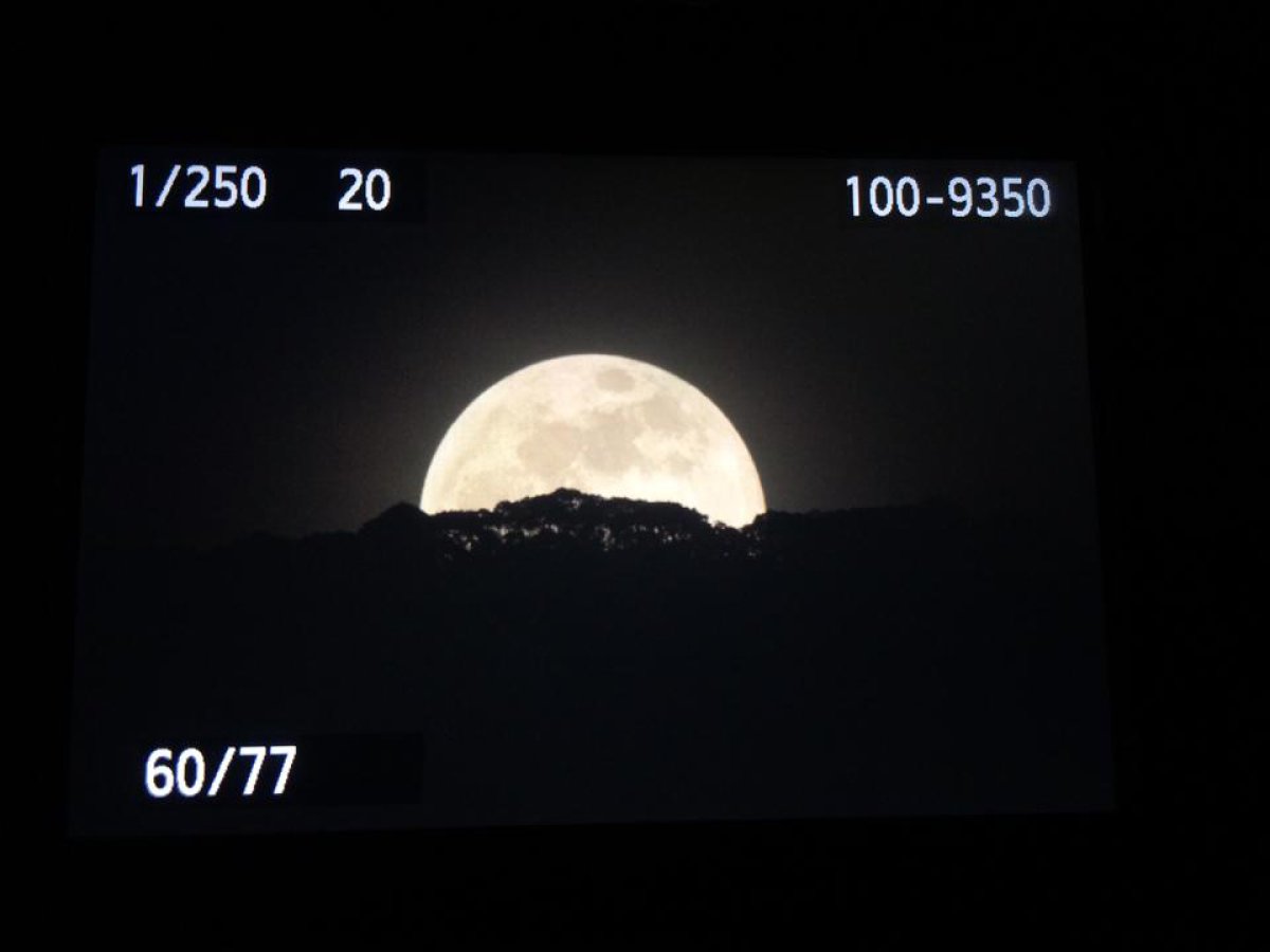 Asi Se Vivi El Eclipse Lunar Alrededor Del Mundo Fotogaler A