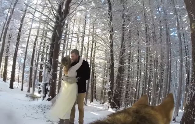 Un perro graba el matrimonio de su dueño y se ve increíble