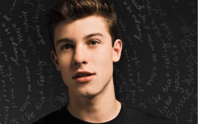 Shawn Mendes logró un Disco de Oro