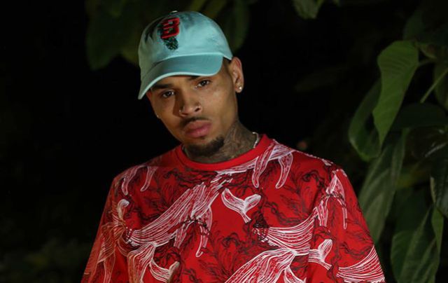 Chris Brown le pateó la cara a un fan en medio de un concierto