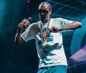 Accidente en concierto de Snoop Dogg deja 42 heridos