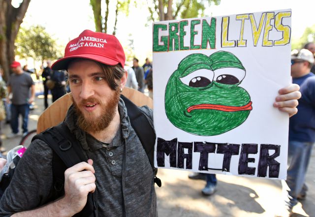 Muere la Rana Pepe, famosa en memes de internet Muere la Rana Pepe, famosa en memes de internet