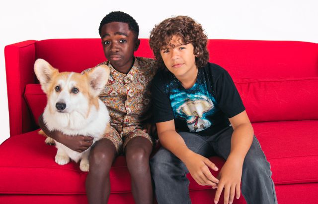 Netflix revela por qué el mejor compañero para hacer maratón de series es tu propia mascota