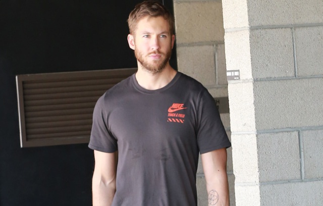 ¿Por qué Calvin Harris nunca saldría con Dua Lipa?