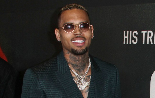 Chris Brown se gasta 30.000 dólares en el cumpleaños de su hija