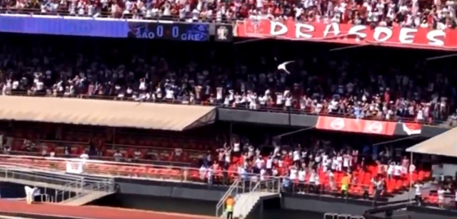 ¡Imágenes fuertes! Miren como este hincha cayó desde una altura de 20 metros sobre una niña
