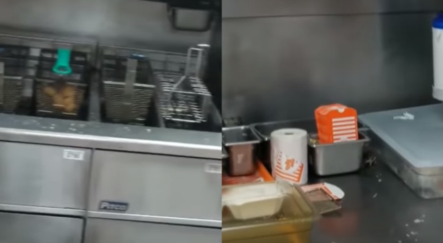 Impactante: captan momento en el que una rata cae a una freidora