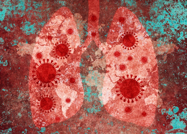 Video en 3D revela cómo el coronavirus afecta los pulmones