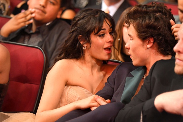 Camila Cabello y Shawn Mendes cumplen 11 meses de relación