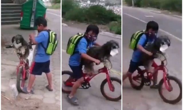 Niño que le pone tapabocas a su perro al salir se vuelve viral