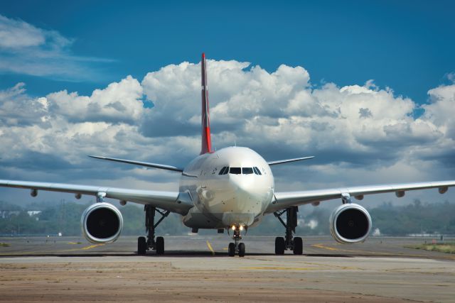 Pasajero saltó de un avión en movimiento con su perro y causó asombro en redes