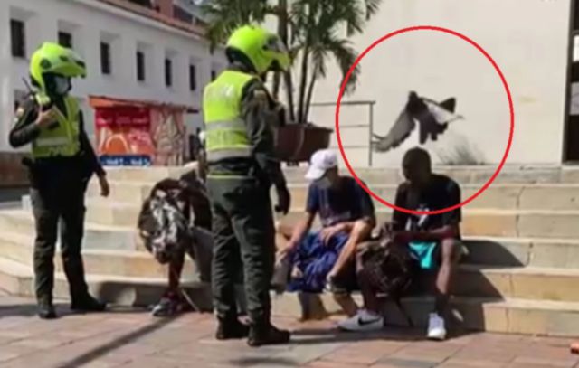 Autoridades evitan que jóvenes se coman palomas que habían robado en un parque