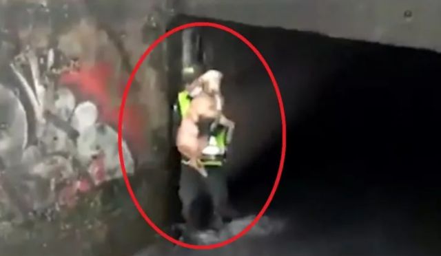 Policía rescata a un perrito que se encontraba atrapado en un caño de Bogotá