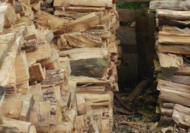 Nuevo Reto: ¿Puedes encontrar al gato en esta foto?