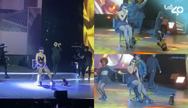 Goyo es criticada por llevar un gato encadenado a su show más reciente