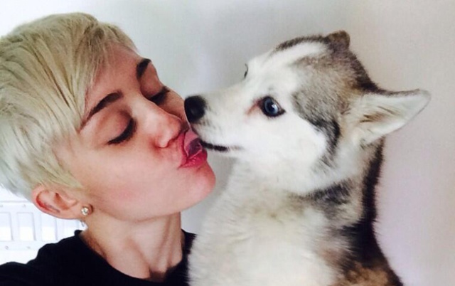 Miley Cyrus intenta comunicarse con su mascota fallecida