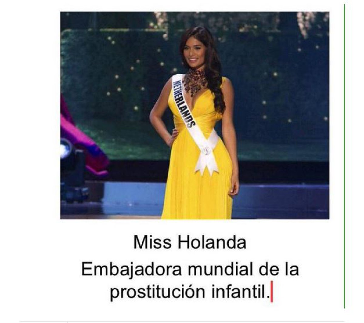 Los memes y trinos más divertidos de Miss Universo 2015