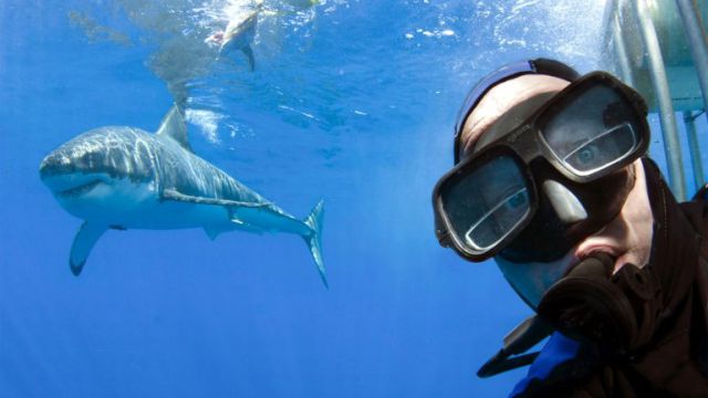 Selfies causan más muertes al año que los tiburones
