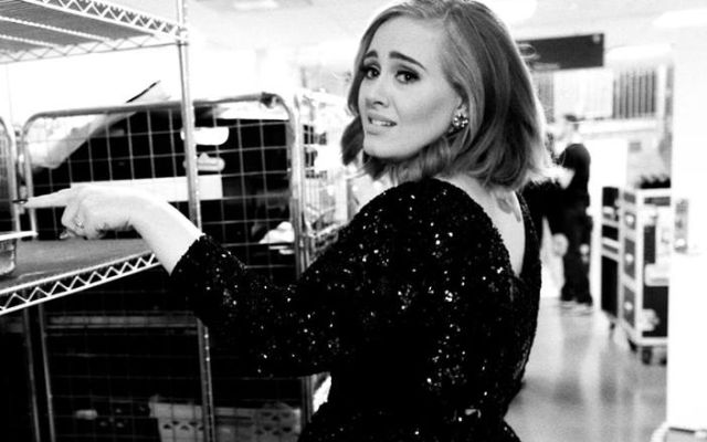 Adele regaña a una fanática en pleno concierto