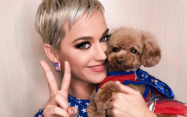 Katy Perry planifica ya su futuro debut en la maternidad