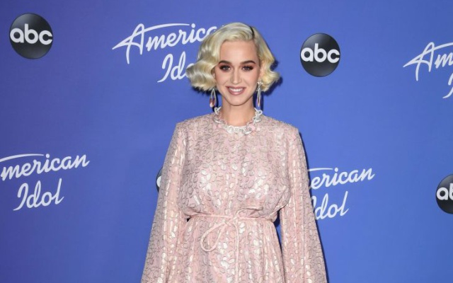 Katy Perry se desmayó mientras grababa American Idol