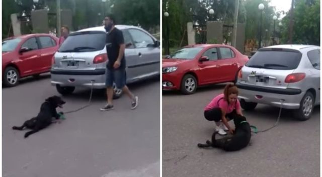 Cruel mujer encadenó a su perro al carro y lo arrastró