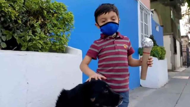 El emotivo reportaje de un niño que entrevista a perritos de la calle