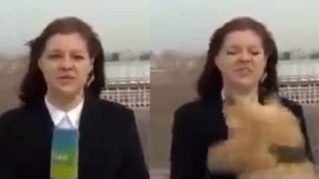 Perro se lleva micrófono de periodista mientras grababa el noticiero en vivo