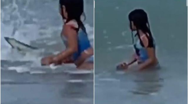 Angustiada madre graba el momento en el que su hija escapa del ataque de un tiburón