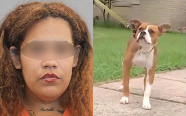 Mujer que intentaba dispararle a un cachorro hirió a su hijo de 5 años