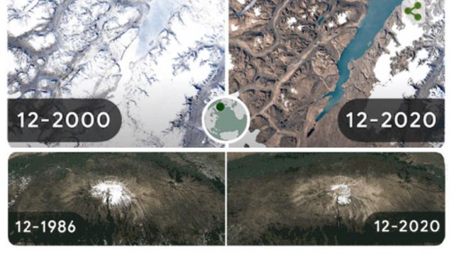 Día de la Tierra: El doodle de Google que muestra los daños del cambio climático