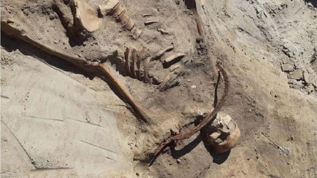 En Polonia hallaron el esqueleto de una mujer ‘vampiro’ con una hoz en el cuello